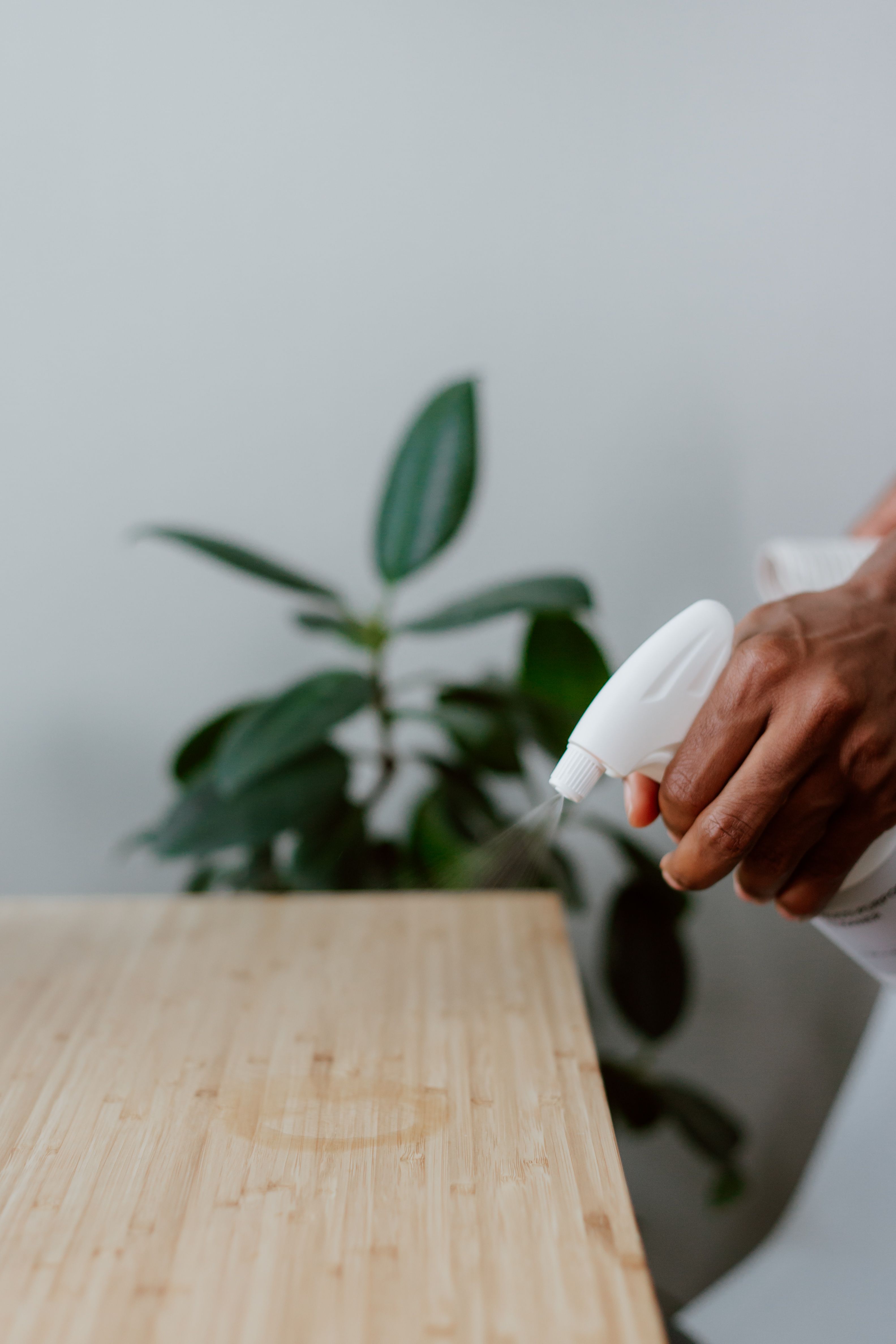 Why Essential Oils Belong in Your Cleaning Routine