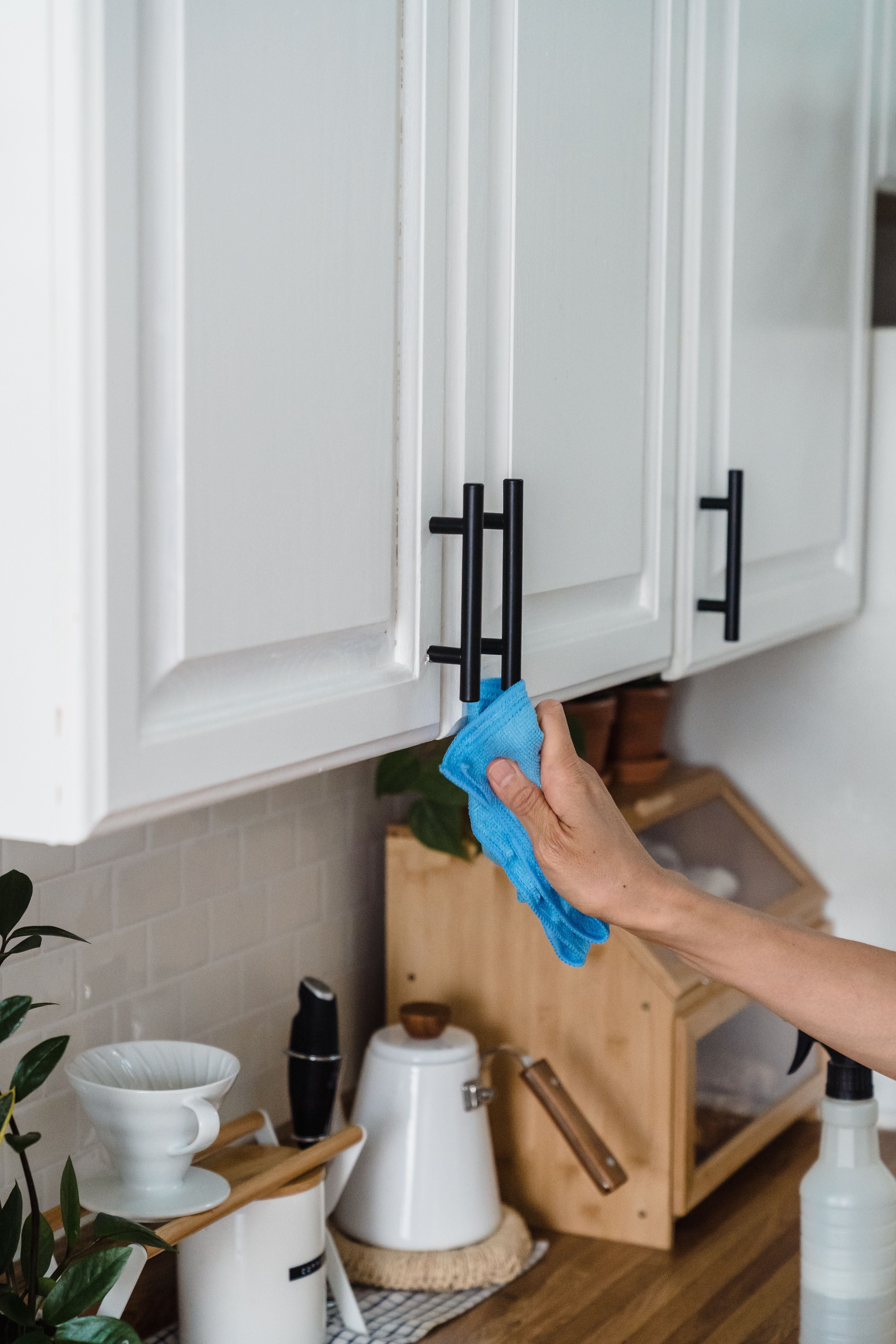 Why Everyone's Switching to Non-Toxic, Plant-Powered Cleaning